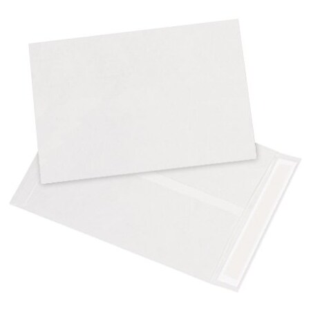 Bsc Preferred 9-1/2 x 12-1/2'' White Flat Tyvek Envelopes, 100PK BUY00028880